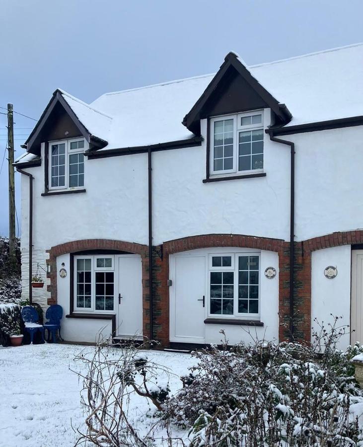 Honeysuckle Cottage Ilfracombe Exterior foto
